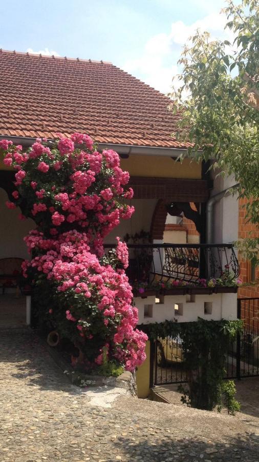 Apartments Dajcic Varazdinske Toplice Dış mekan fotoğraf